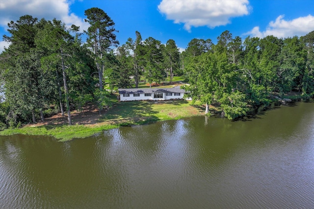 118 Lake Bluff Dr, Waynesboro, GA 30830 - water view