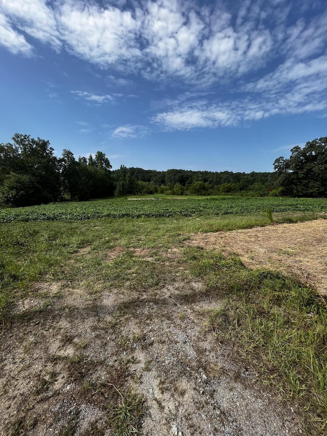 3704 Mitchner Rd, Dearing GA, 30808 land for sale