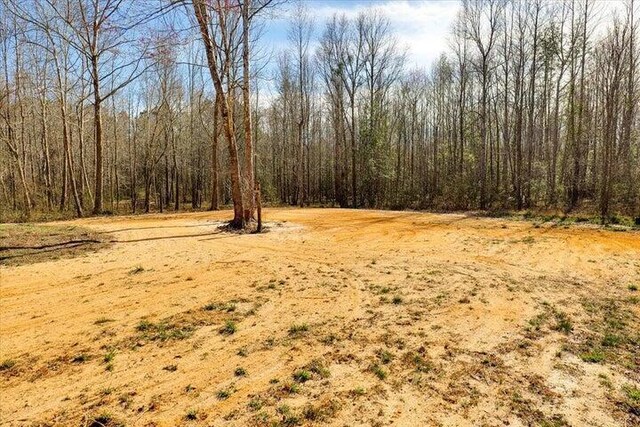 5259 Old Mike Padgett Hwy, Hephzibah, GA 30815