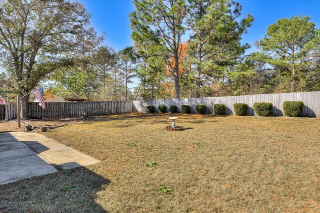 view of yard featuring a patio area