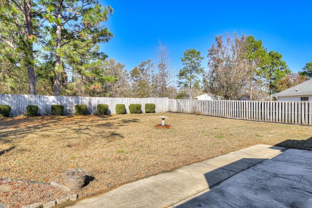 view of yard featuring a patio area