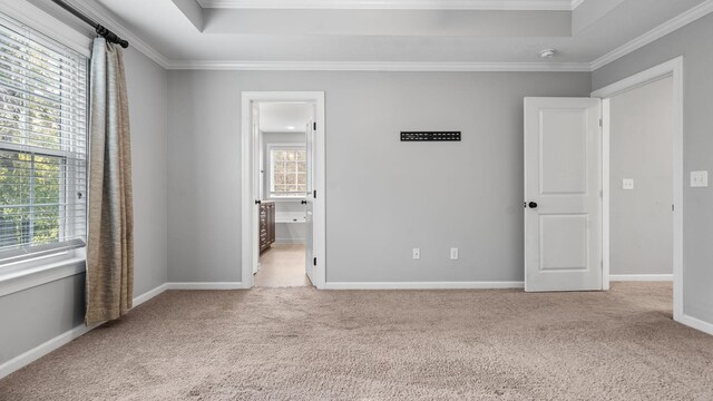 unfurnished bedroom featuring a raised ceiling, light colored carpet, and ornamental molding