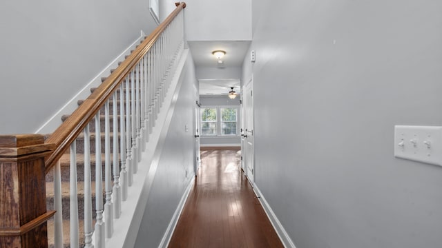 staircase with ceiling fan and hardwood / wood-style floors