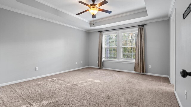 spare room featuring carpet, a raised ceiling, and ornamental molding