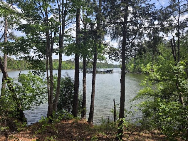 view of water feature with a boat dock