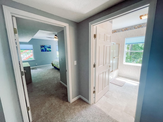 hallway featuring baseboards, light colored carpet, and plenty of natural light