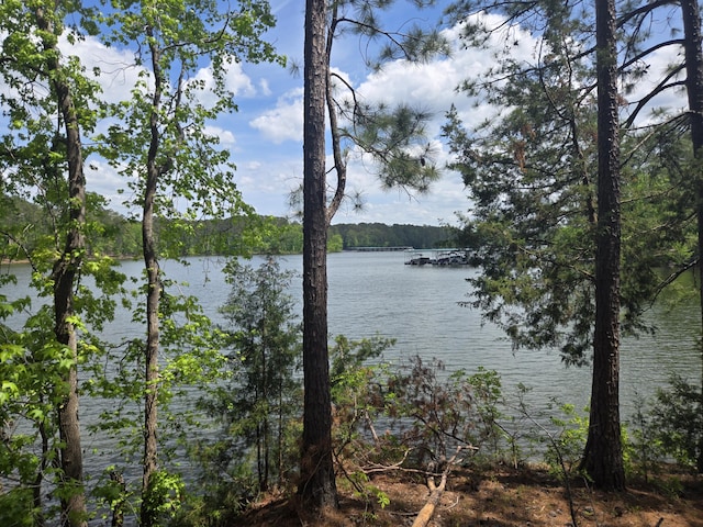 water view featuring a forest view