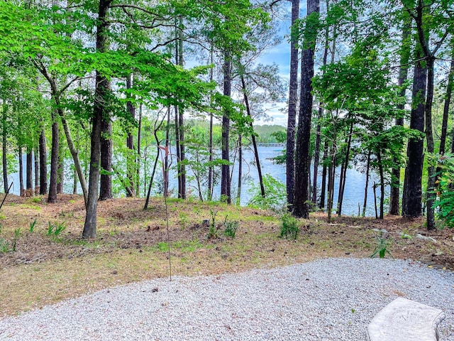 view of water feature