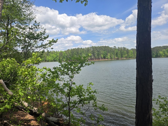 water view featuring a forest view