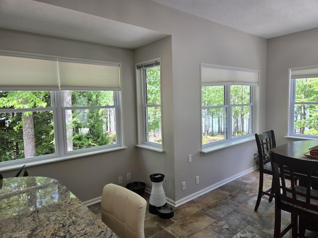 dining space with stone finish floor and baseboards