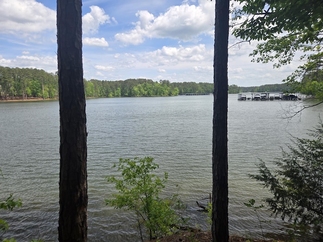 view of water feature with a wooded view