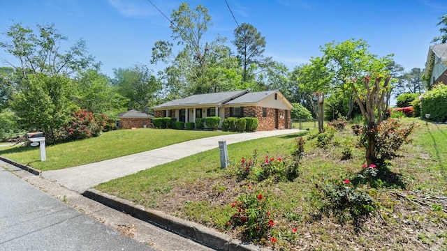 ranch-style house featuring a front yard and brick siding