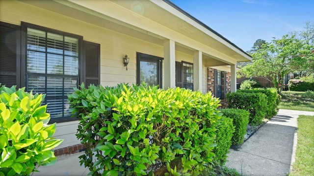 property entrance with a porch