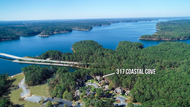 317 Coastal Cv, Mccormick, SC 29835 - birds eye view of property featuring a water view