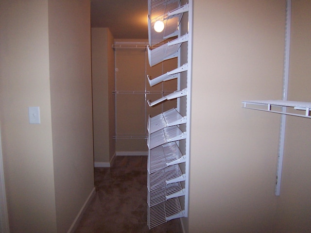 2103 Kaneck Way, Hephzibah, GA 30815 - spacious closet featuring carpet flooring