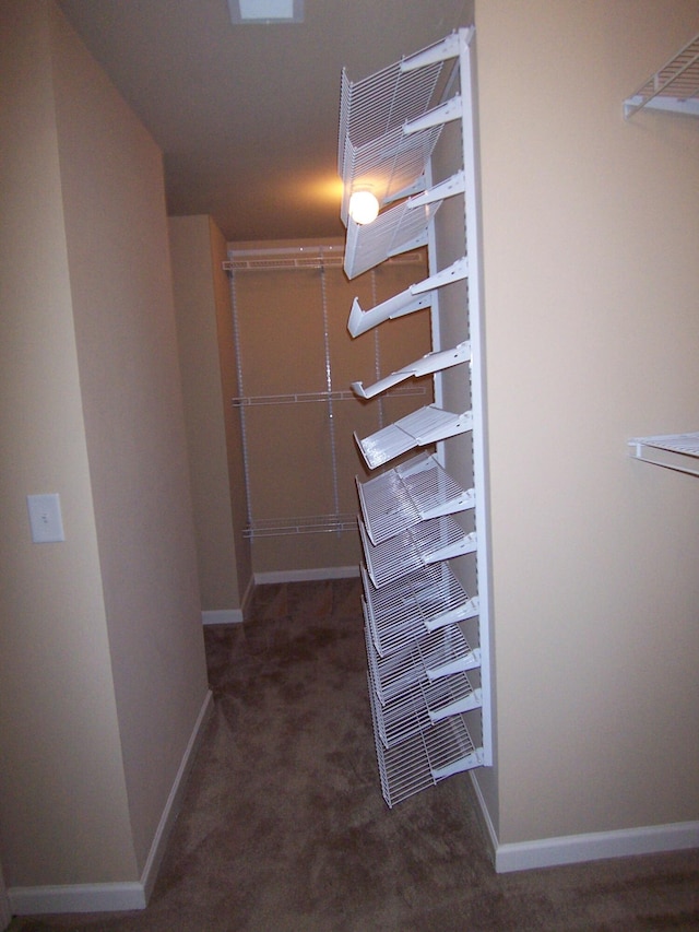 2103 Kaneck Way, Hephzibah, GA 30815 - walk in closet with carpet