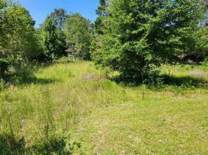 1321 Hephzibah Mcbean Rd, Hephzibah, GA 30815