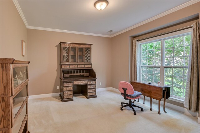 972 Woody Hill Cir, Evans, GA 30809 - home office featuring plenty of natural light, crown molding, light carpet, and baseboards