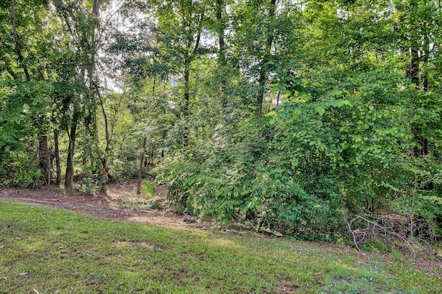 972 Woody Hill Cir, Evans, GA 30809 - view of yard