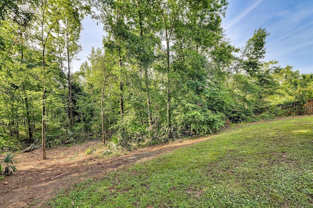 972 Woody Hill Cir, Evans, GA 30809 - view of yard featuring a wooded view