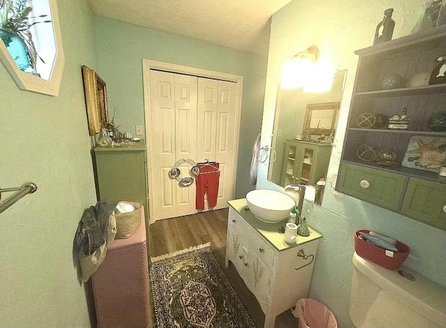 bathroom featuring wood finished floors and vanity