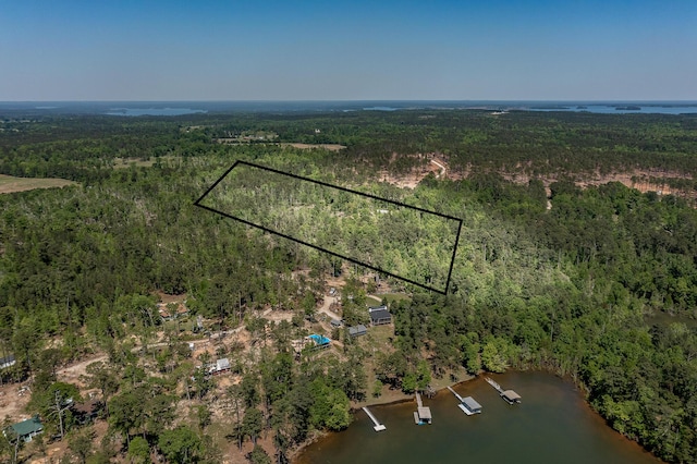 1250 Mosley Rd, Lincolnton, GA 30817 - photo 1