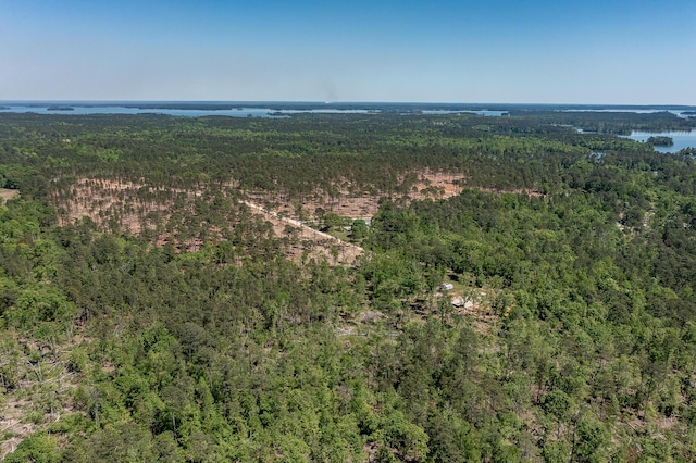 1250 Mosley Rd, Lincolnton, GA 30817 - photo 18