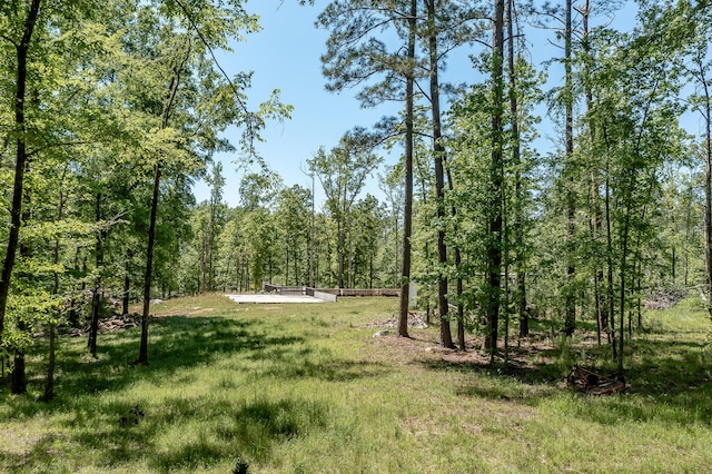 1250 Mosley Rd, Lincolnton, GA 30817 - photo 5