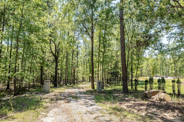 1250 Mosley Rd, Lincolnton, GA 30817 - photo 2