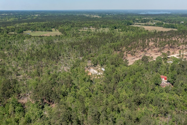 1250 Mosley Rd, Lincolnton, GA 30817 - photo 16