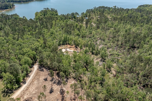 1250 Mosley Rd, Lincolnton, GA 30817 - photo 25
