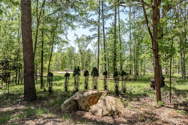 1250 Mosley Rd, Lincolnton, GA 30817 - photo 3