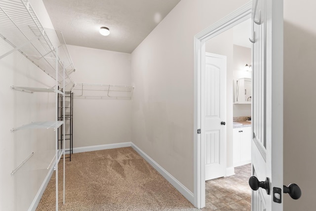 501 Cranberry Cir, Grovetown, GA 30813 - spacious closet with light colored carpet