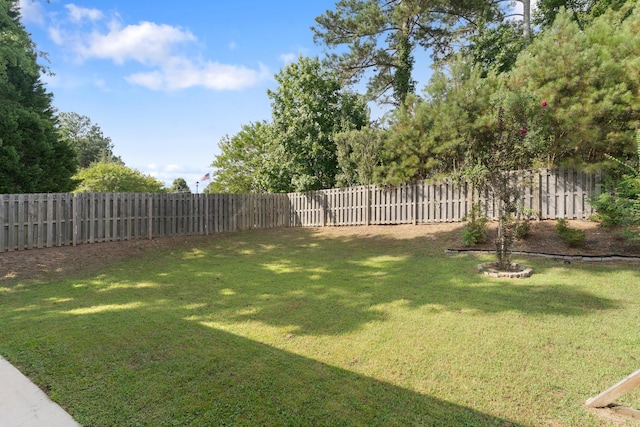 501 Cranberry Cir, Grovetown, GA 30813 - view of fenced backyard