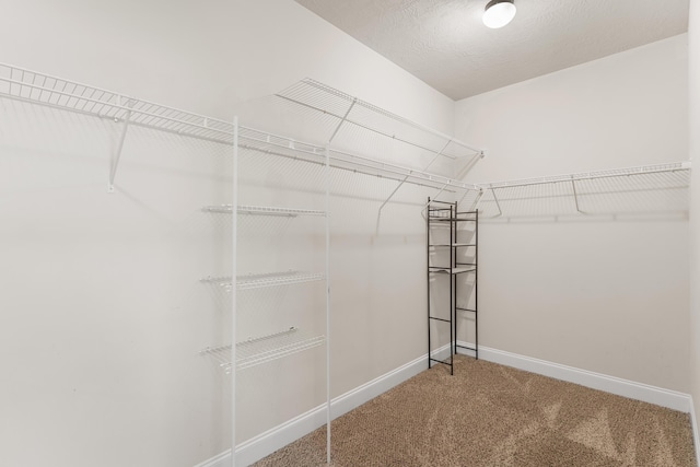 501 Cranberry Cir, Grovetown, GA 30813 - walk in closet with carpet