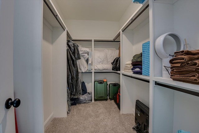 spacious closet featuring light carpet