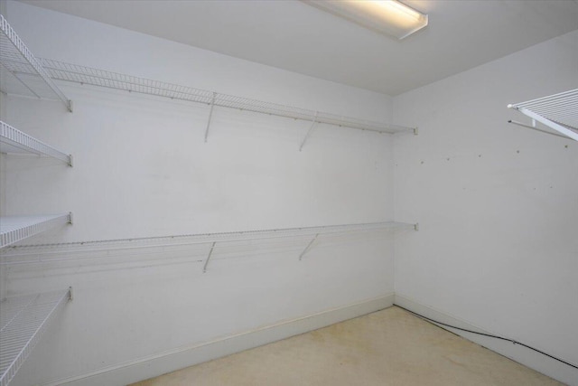 view of spacious closet