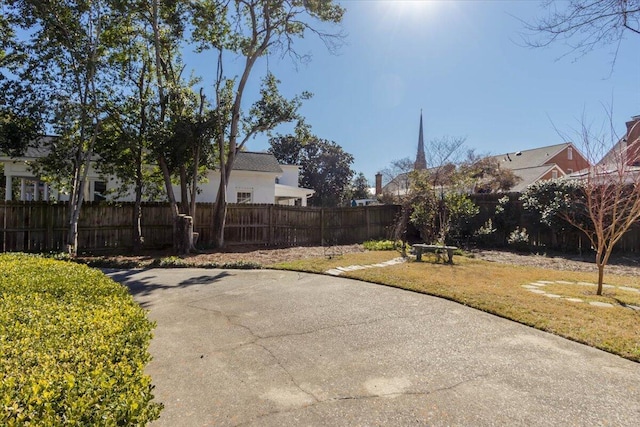 view of yard with a patio area and a fenced backyard