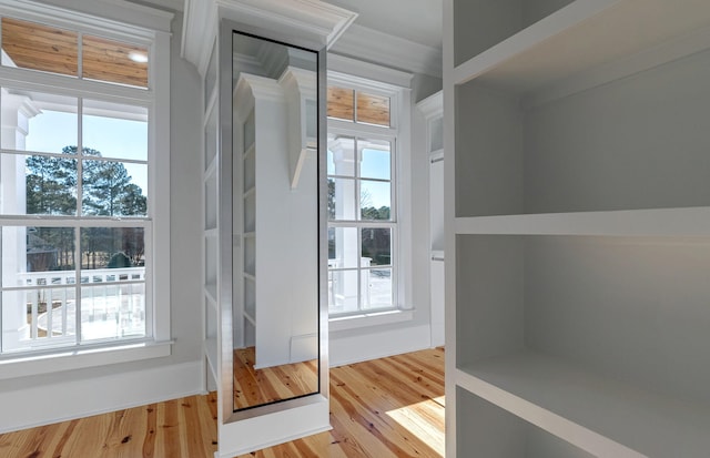 doorway to outside with wood-type flooring