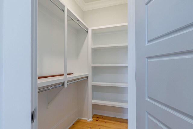 walk in closet with wood-type flooring