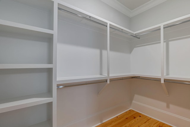 walk in closet featuring hardwood / wood-style floors