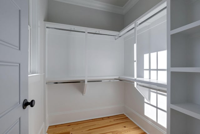 walk in closet with hardwood / wood-style floors