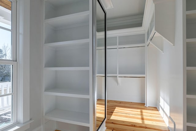 walk in closet featuring hardwood / wood-style floors