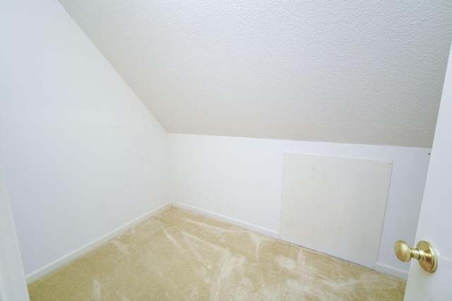 additional living space featuring vaulted ceiling, light colored carpet, and a textured ceiling