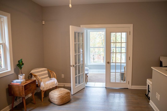 216 Sumter Ln, Mccormick, SC 29835 - doorway with french doors, plenty of natural light, and wood finished floors
