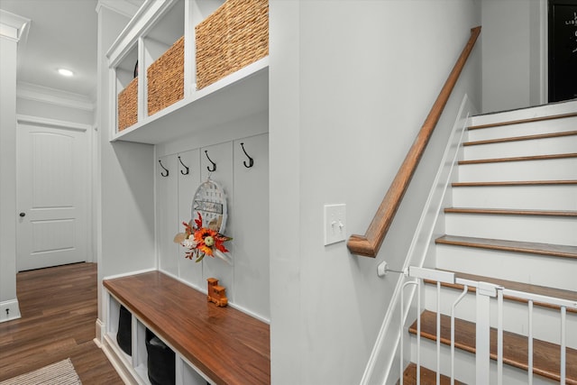 mudroom with crown molding and dark hardwood / wood-style flooring