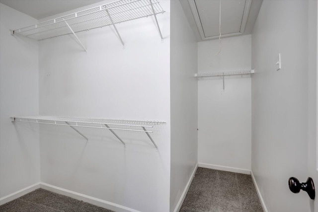 spacious closet with attic access and carpet flooring