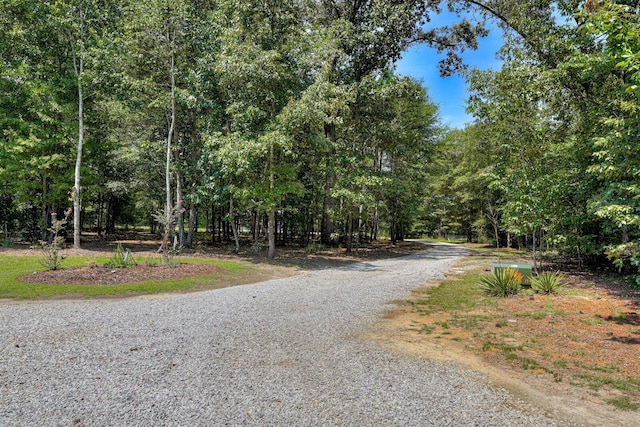 1370 Deerwood Cir, Stapleton, GA 30823 - view of street with a view of trees