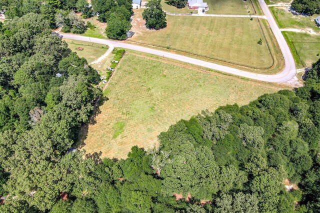 bird's eye view with a rural view