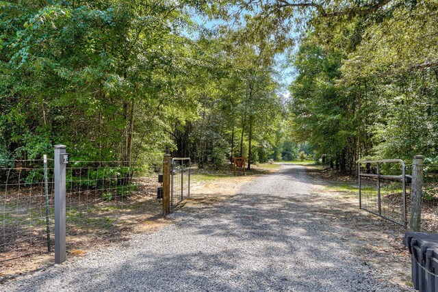 1370 Deerwood Cir, Stapleton, GA 30823 - view of dirt / gravel driveway featuring a gate and a gated entry